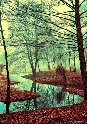 Full Diamond Painting kit - Deep forest river