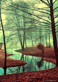 Full Diamond Painting kit - Deep forest river