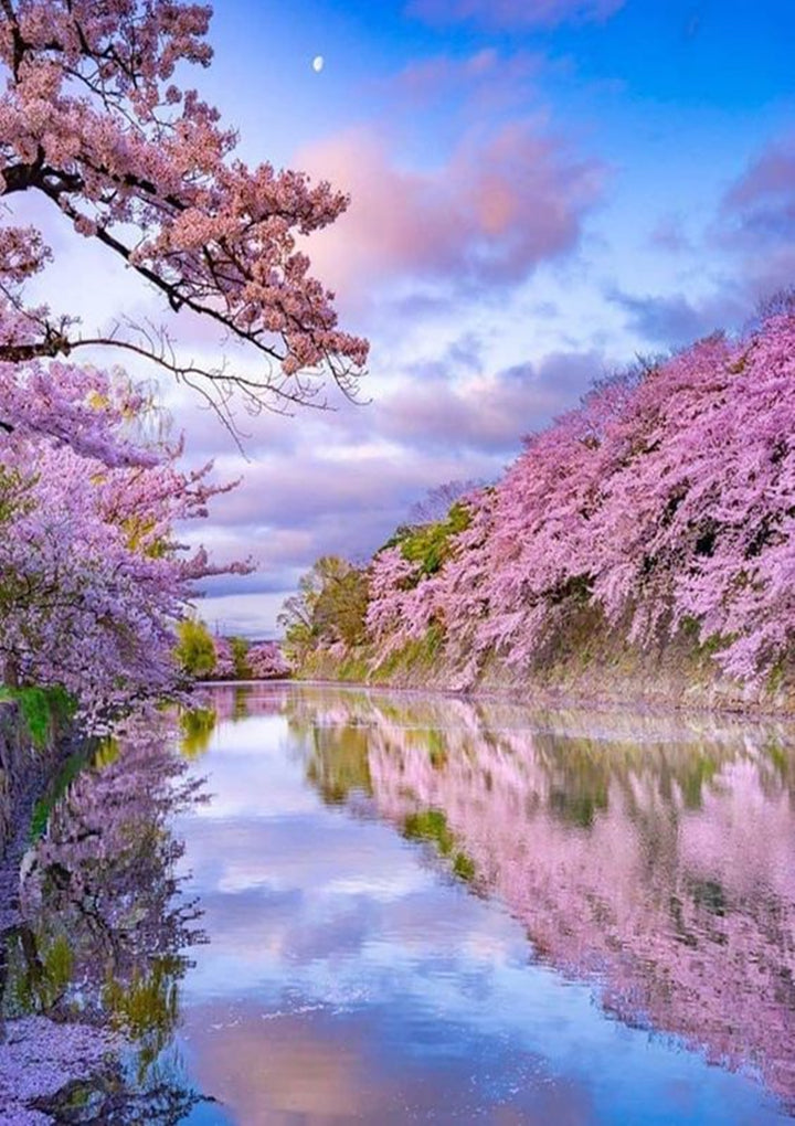 Full Diamond Painting kit - Stunning scenery