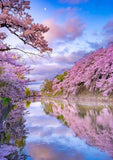 Full Diamond Painting kit - Stunning scenery