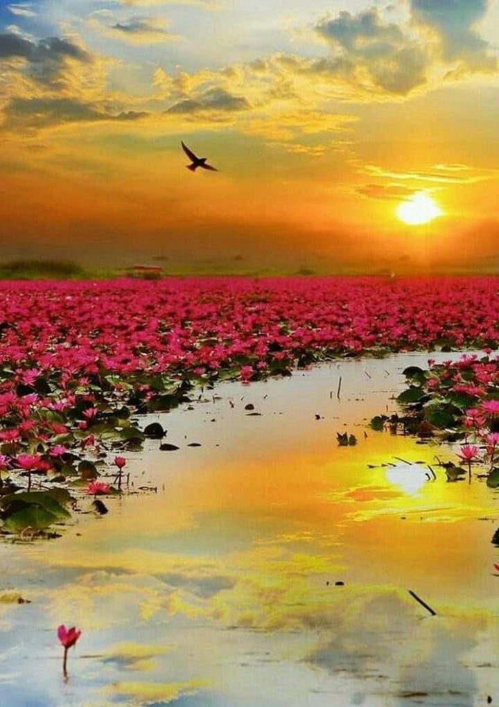 Full Diamond Painting kit - Flowers by the lake at sunrise