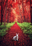 Full Diamond Painting kit - Red deep forest