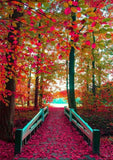 Full Diamond Painting kit - Red deep forest