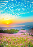 Full Diamond Painting kit - Beautiful scenery