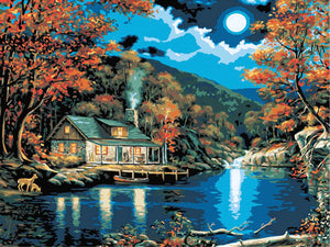 Full Diamond Painting kit - Rural night