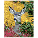 DIY Painting by number kit | Cute little deer