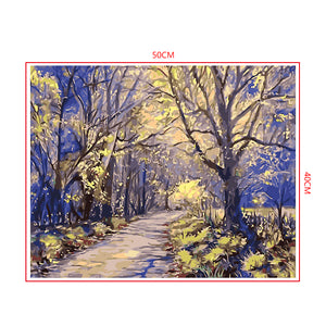 DIY Painting by number kit | Deep mountain road
