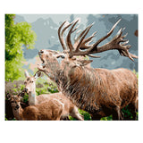 DIY Painting by number kit | Elk