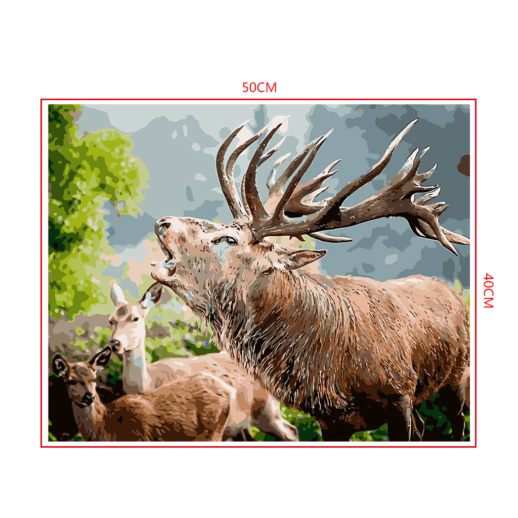 DIY Painting by number kit | Elk