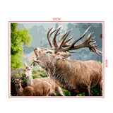 DIY Painting by number kit | Elk