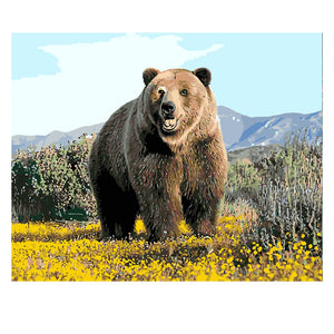 DIY Painting by number kit | Black bear