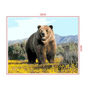 DIY Painting by number kit | Black bear