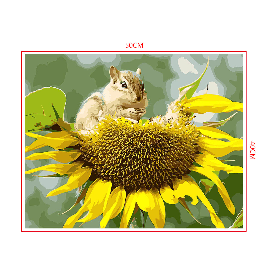 DIY Painting by number kit | Squirrel eating sunflower seeds