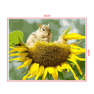 DIY Painting by number kit | Squirrel eating sunflower seeds