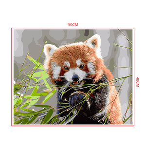 DIY Painting by number kit | Animal Raccoon