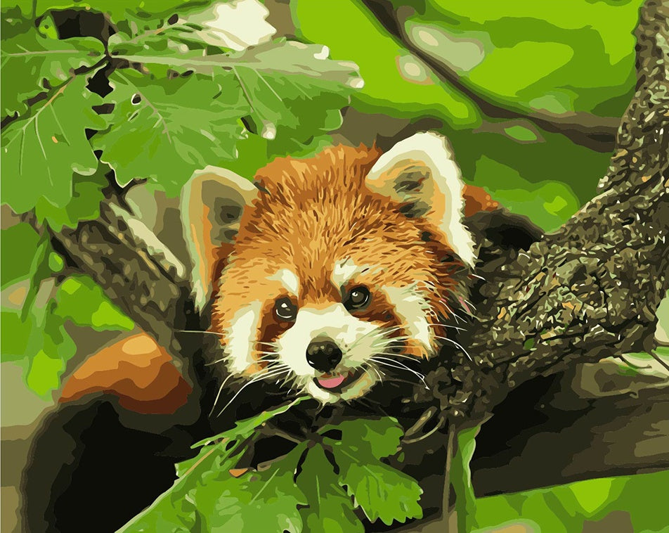 DIY Painting by number kit | Animal raccoon
