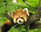 DIY Painting by number kit | Animal raccoon