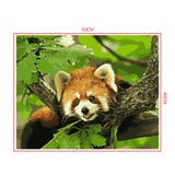 DIY Painting by number kit | Animal raccoon