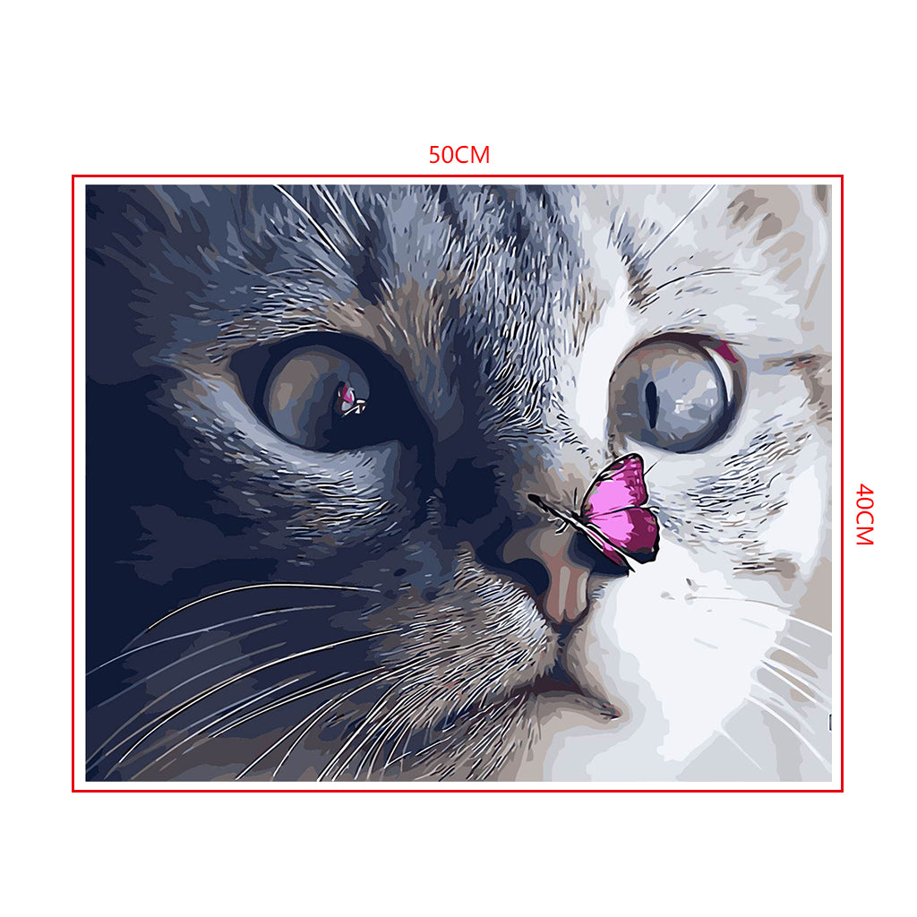 DIY Painting by number kit | Butterfly on cat's nose