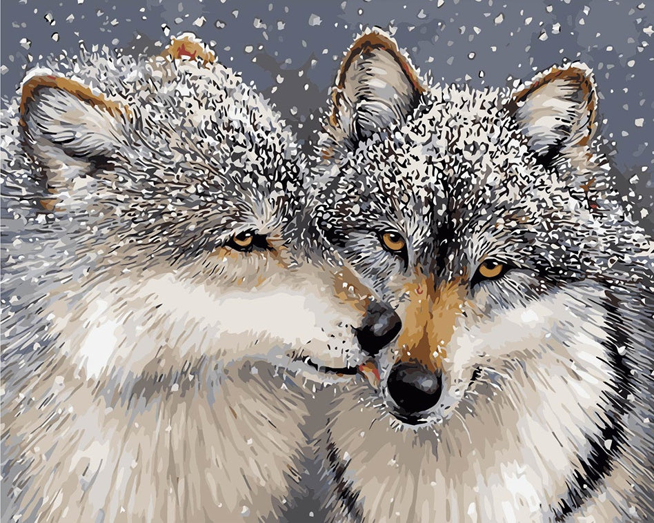 DIY Painting by number kit | Tibetan Wolves