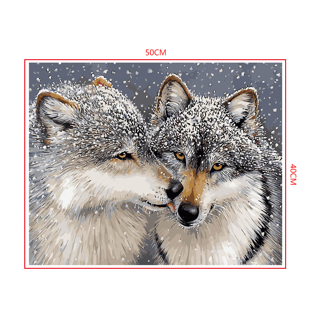 DIY Painting by number kit | Tibetan Wolves