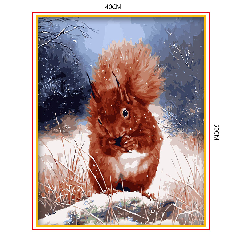 DIY Painting by number kit | Animal squirrel