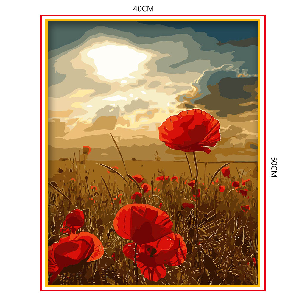 DIY Painting by number kit | Safflower poppy