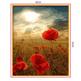 DIY Painting by number kit | Safflower poppy