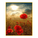 DIY Painting by number kit | Safflower poppy