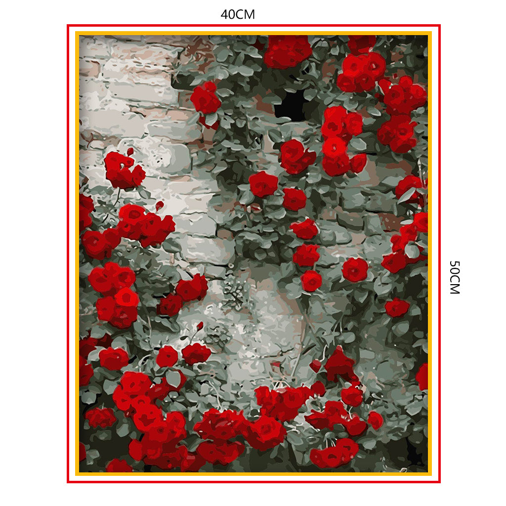 DIY Painting by number kit | Rose growing on the wall