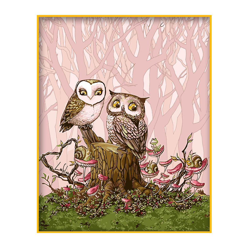 DIY Painting by number kit | Owls