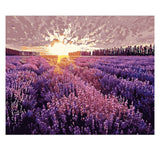 DIY Painting by number kit | Lavender Garden