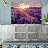 DIY Painting by number kit | Lavender Garden