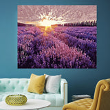 DIY Painting by number kit | Lavender Garden