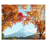DIY Painting by number kit | Beautiful snow mountain