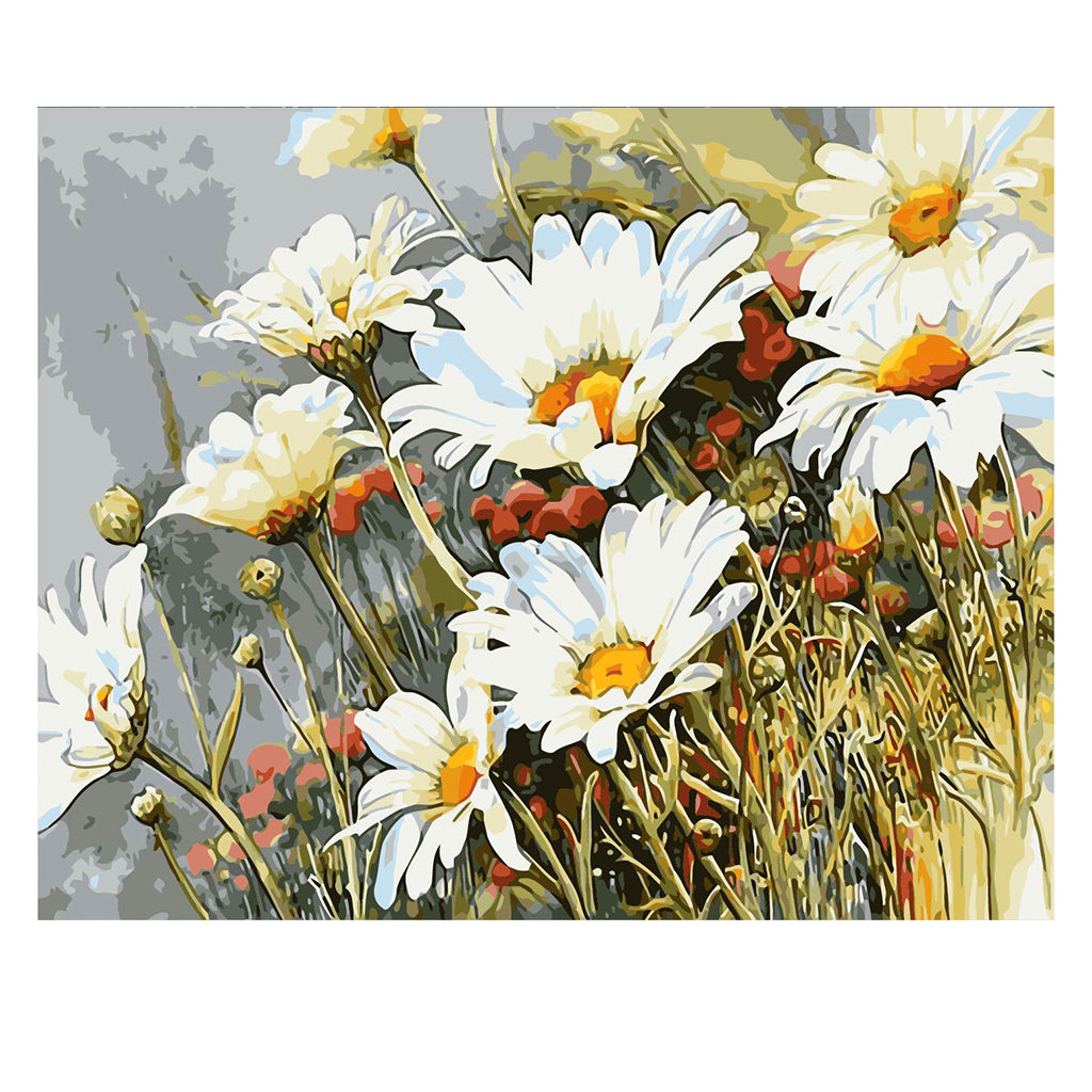 DIY Painting by number kit | White daisy flowers