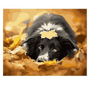 DIY Painting by number kit | Cute dog