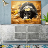 DIY Painting by number kit | Cute dog
