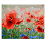 DIY Painting by number kit | Red flowers