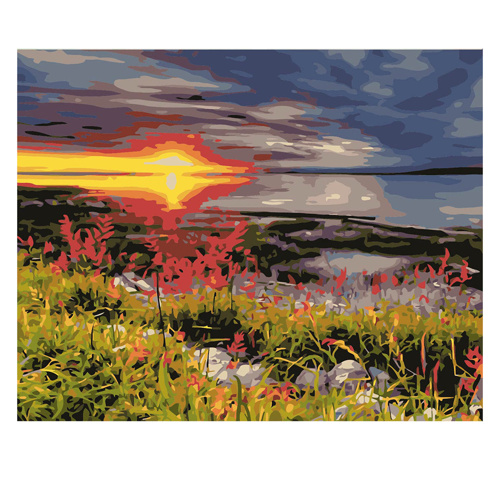 DIY Painting by number kit | Wild scenery