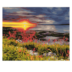 DIY Painting by number kit | Wild scenery