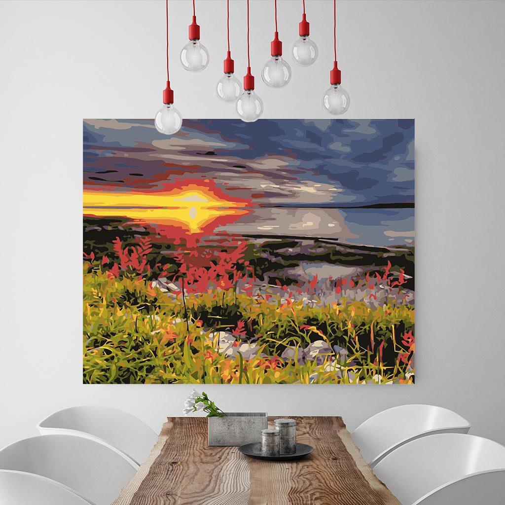 DIY Painting by number kit | Wild scenery
