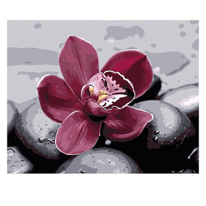 DIY Painting by number kit | Beautiful flower between the stones