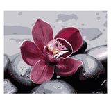 DIY Painting by number kit | Beautiful flower between the stones