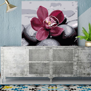 DIY Painting by number kit | Beautiful flower between the stones