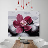 DIY Painting by number kit | Beautiful flower between the stones