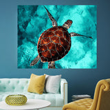 DIY Painting by number kit | Sea turtle