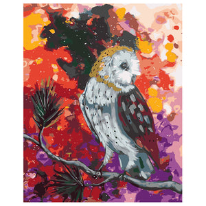 DIY Painting by number kit | Animal owl