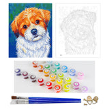 DIY Painting by number kit | Cute Terrier