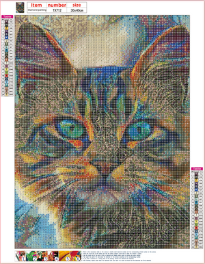 Full Diamond Painting kit - Cat